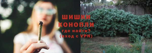 прущие грибы Абинск