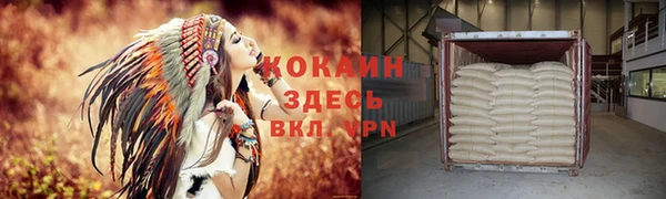 прущие грибы Абинск