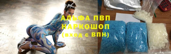 прущие грибы Абинск