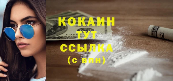 прущие грибы Абинск