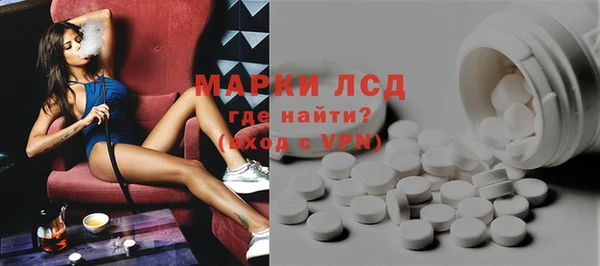 прущие грибы Абинск