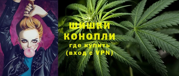 прущие грибы Абинск