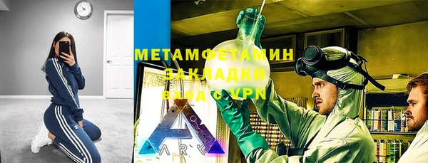 прущие грибы Абинск