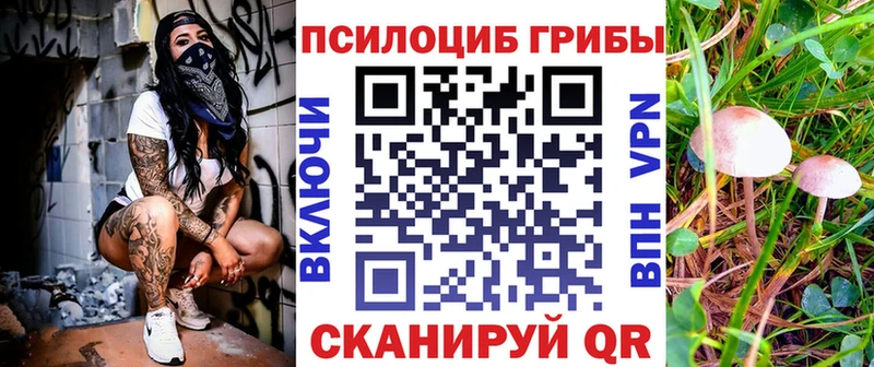 Псилоцибиновые грибы Psilocybe OMG зеркало Алейск