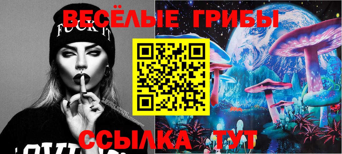 Псилоцибиновые грибы Cubensis Алейск