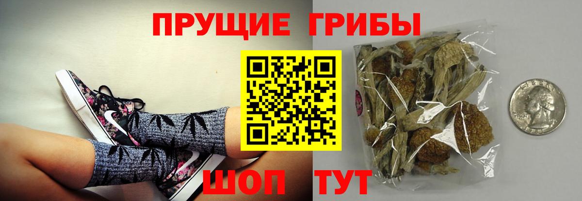 Алейск  Галлюциногенные грибы Psilocybine cubensis  Вход с VPN  Псилоцибиновые грибы мицелий 